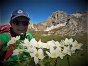 54 Anemone Narcissino ( Anemone narcissiflora) con Arera-Corna Piana